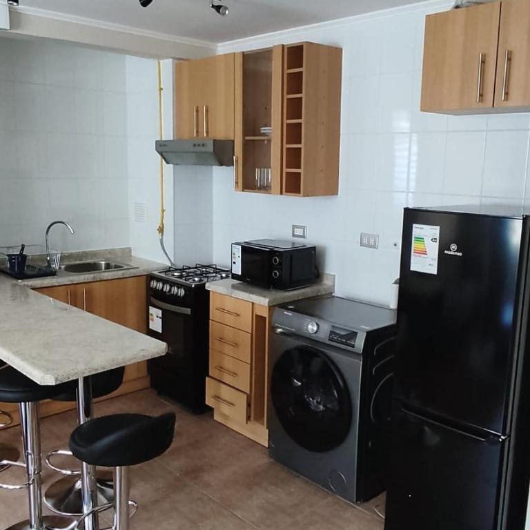 Departamento Full Amoblado Condominio Pelluco - One-Bedroom Apartment - 8