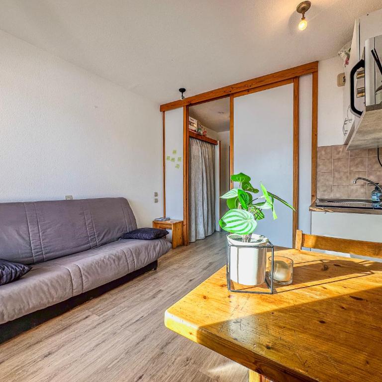 Le Roche Rousse - Au pied des Pistes - Appartement 1 Chambre - 20