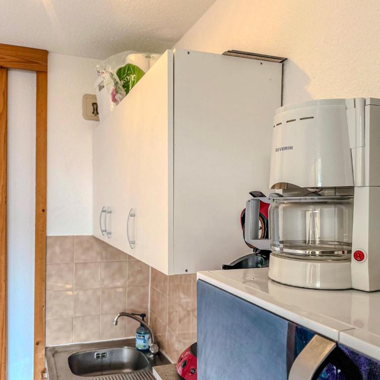 Le Roche Rousse - Au pied des Pistes - Appartement 1 Chambre - 24