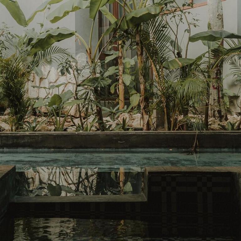 Private Jungle 1BR Retreat & Fast Wi-Fi - One-Bedroom Apartment - 18
