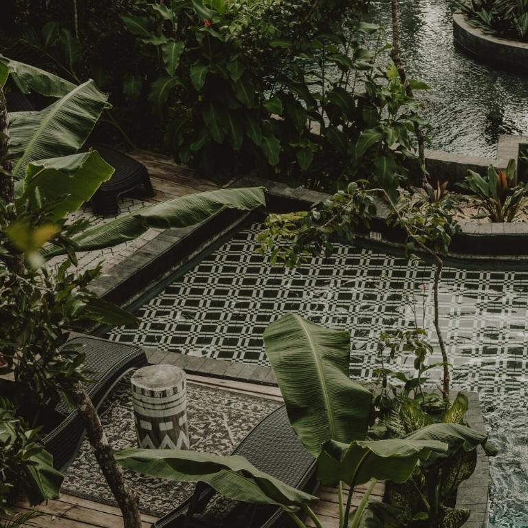 Private Jungle 1BR Retreat & Fast Wi-Fi - One-Bedroom Apartment - 25