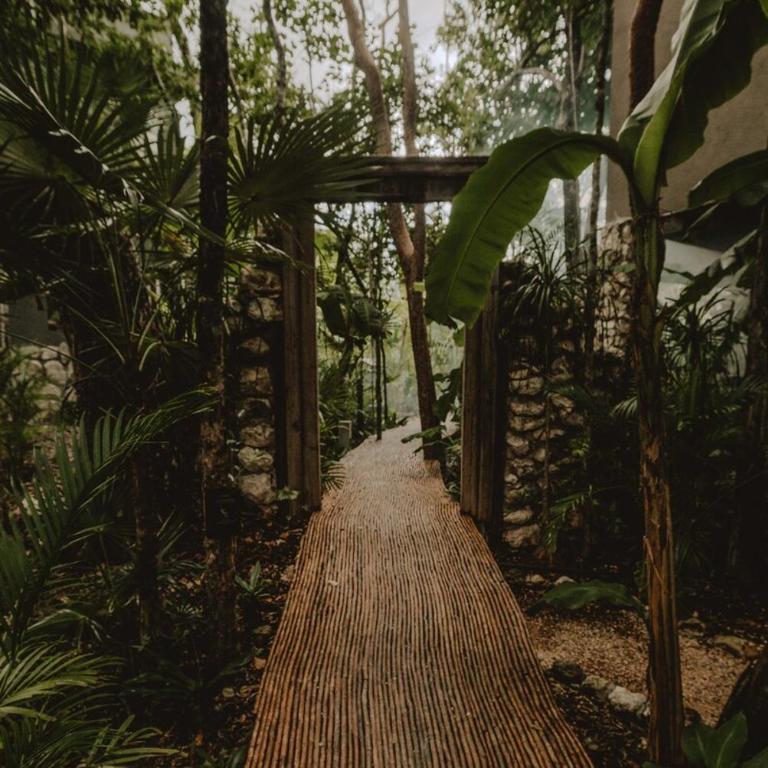 Private Jungle 1BR Retreat & Fast Wi-Fi - One-Bedroom Apartment - 38