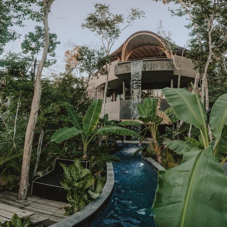 Private Jungle 1BR Retreat & Fast Wi-Fi - One-Bedroom Apartment - 44