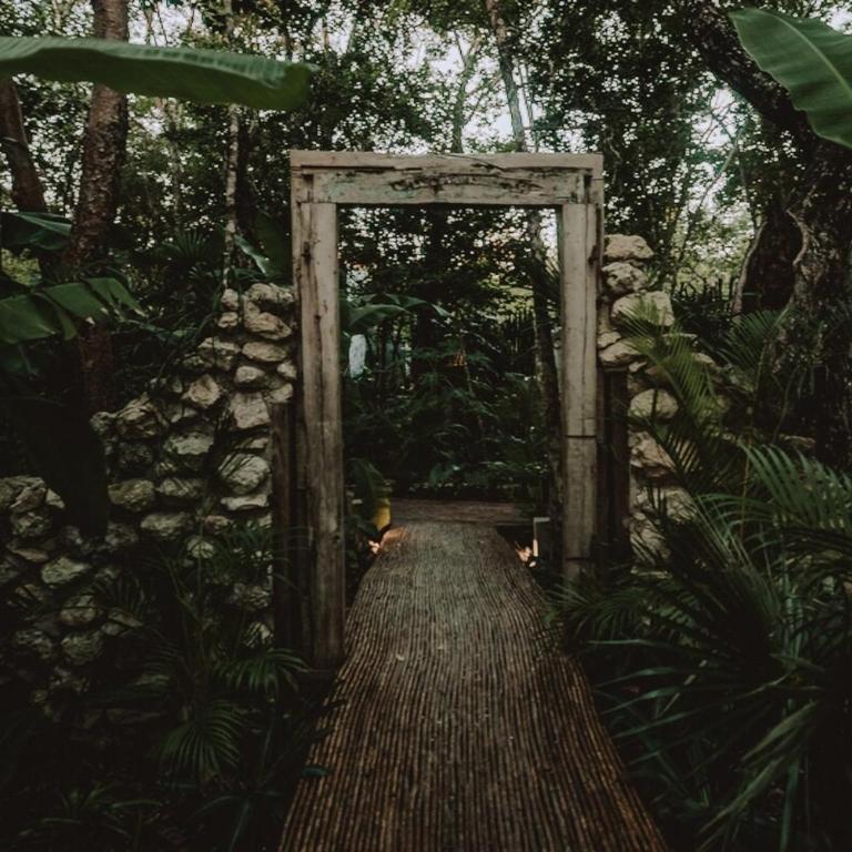 Private Jungle 1BR Retreat & Fast Wi-Fi - One-Bedroom Apartment - 55