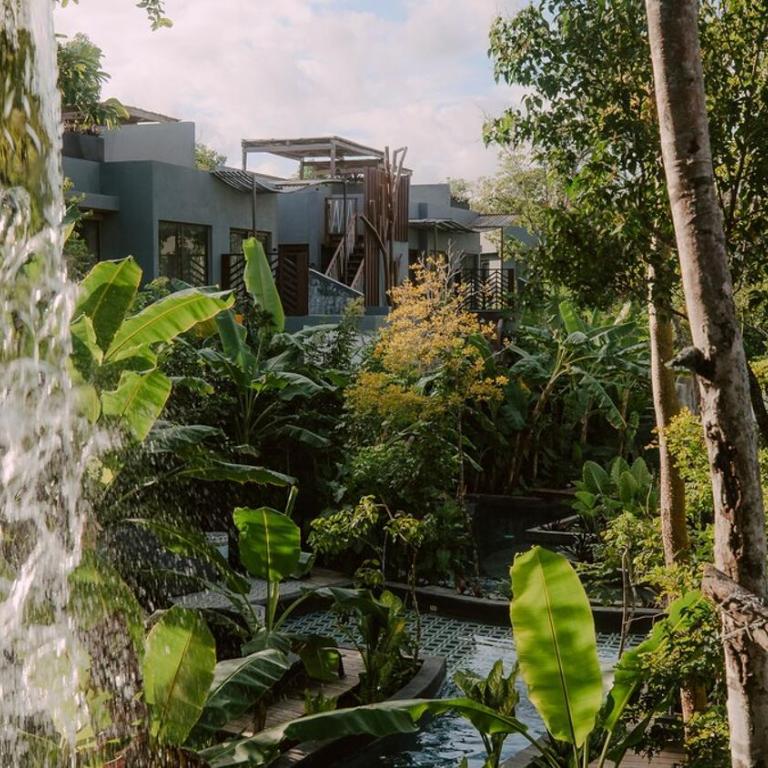 Private Jungle 1BR Retreat & Fast Wi-Fi - One-Bedroom Apartment - 56