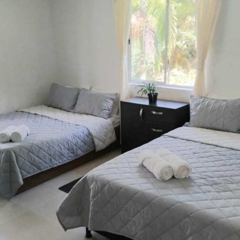 Cabaña con Jacuzzi Privado en El Peñol El palmar lodge - Two-Bedroom Apartment - 8