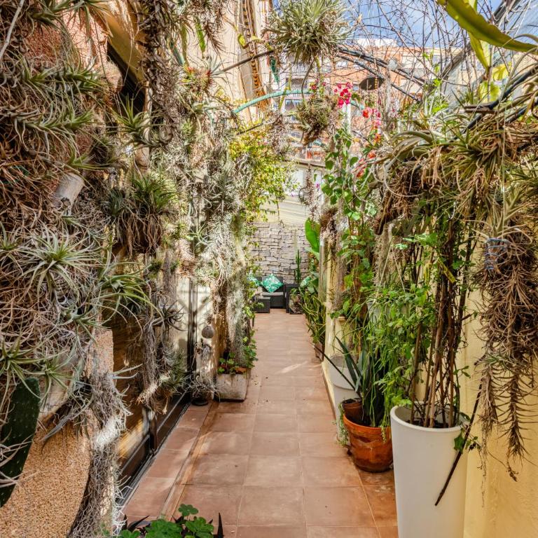 OASIS EPÍFITO URBANO Botanical Wellness Oasis near City of Arts & Sciencies - Standard Double Room with Shared Bathroom - 9