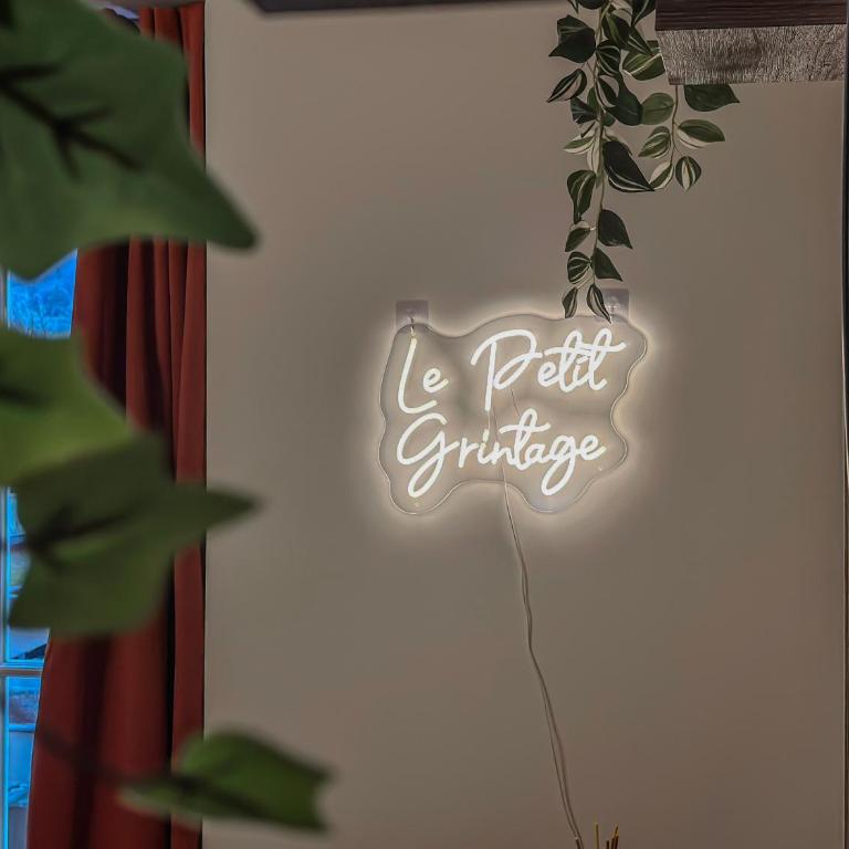 Le Petit Gr'intage - Gare - Gare Routière - Apartment mit 1 Schlafzimmer - 14