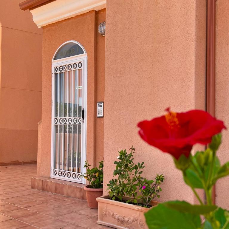 Flamingo Apart - Apartamento de 2 dormitorios - 22