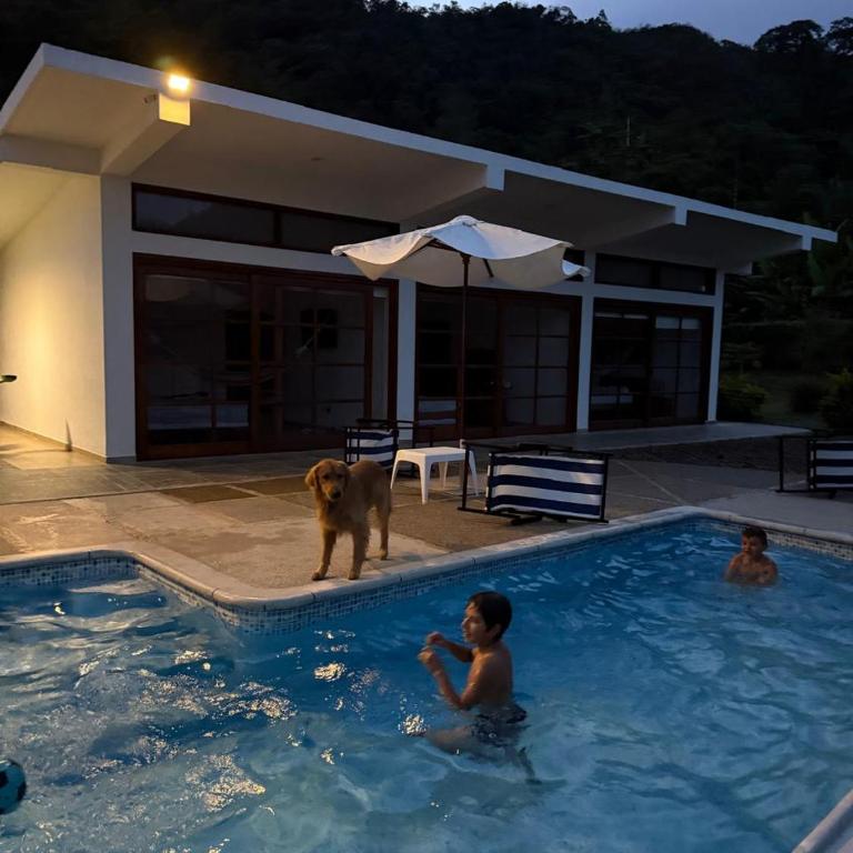 Natural Paradise overlooking the mountains - One-Bedroom Chalet - 1