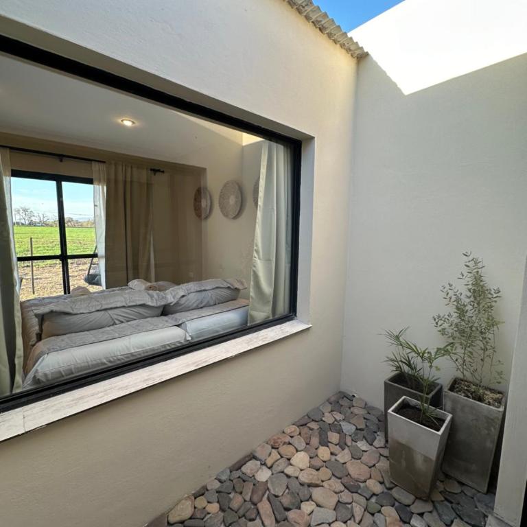 Glamping Salta - Suite - 8