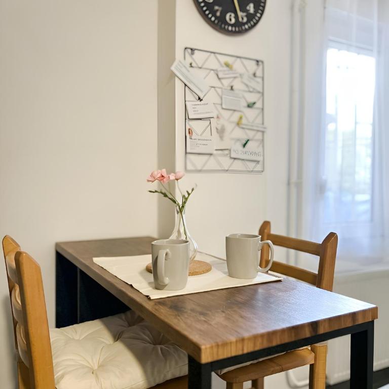 Cozy Studio on Bulevar Evrope - 2 guests - Apartman sa 1 Spavaćom Sobom - 4