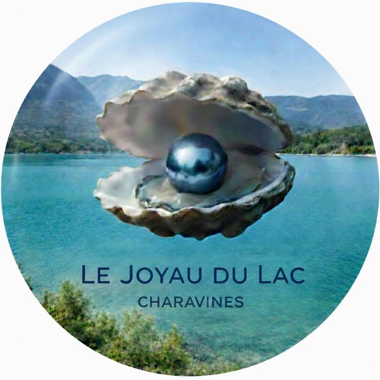 Le Joyau du lac - Apartment mit 1 Schlafzimmer - 15