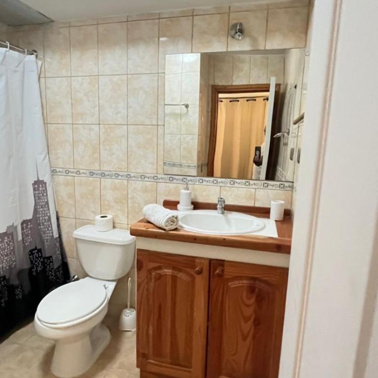 Refugio del volcán - Classic Apartment - 4