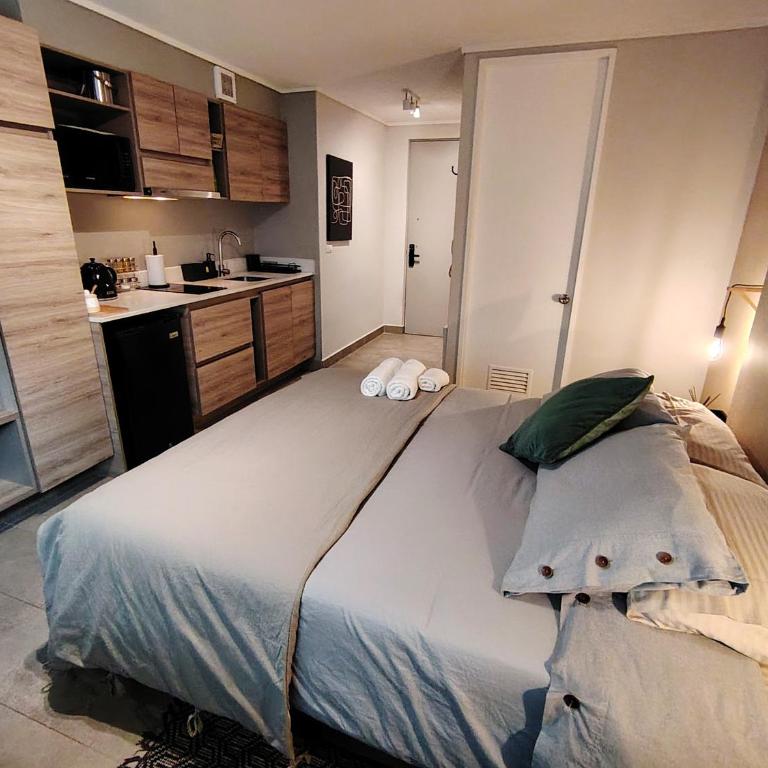 Montenegro Departamentos - Estudio - 11