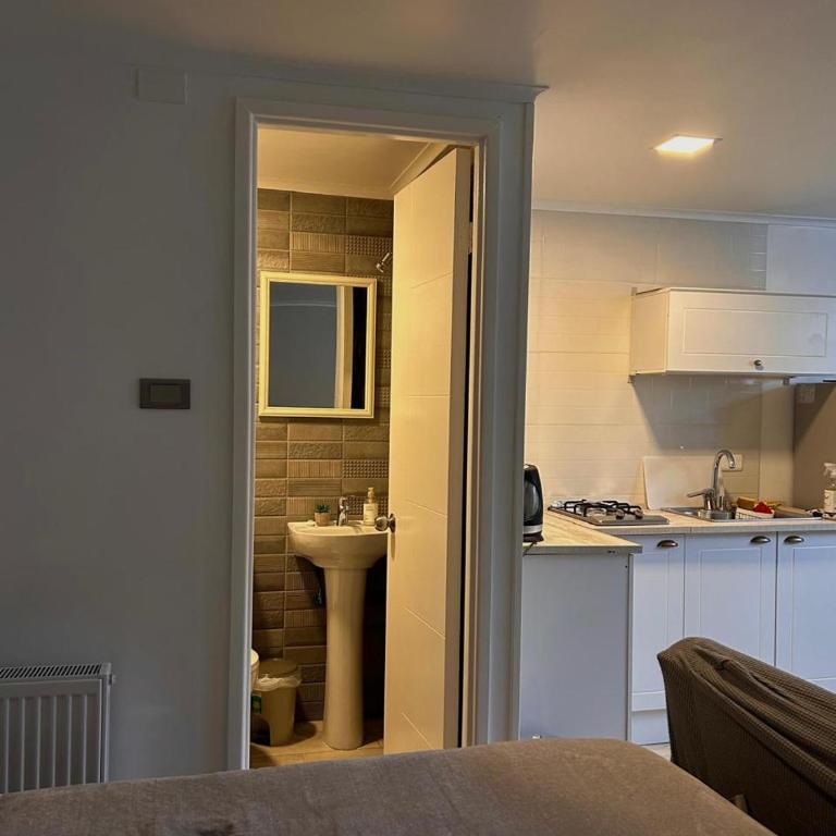 Monoambiente 1 - One-Bedroom Apartment - 5