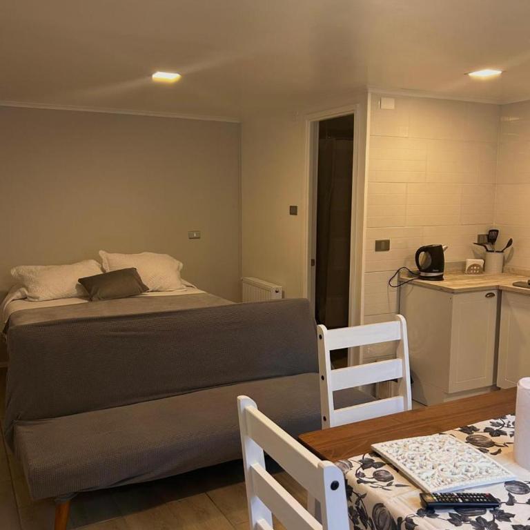 Monoambiente 1 - One-Bedroom Apartment - 9