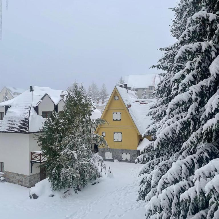 Cozy Lodge Kopaonik - Apartman sa 1 Spavaćom Sobom - 2