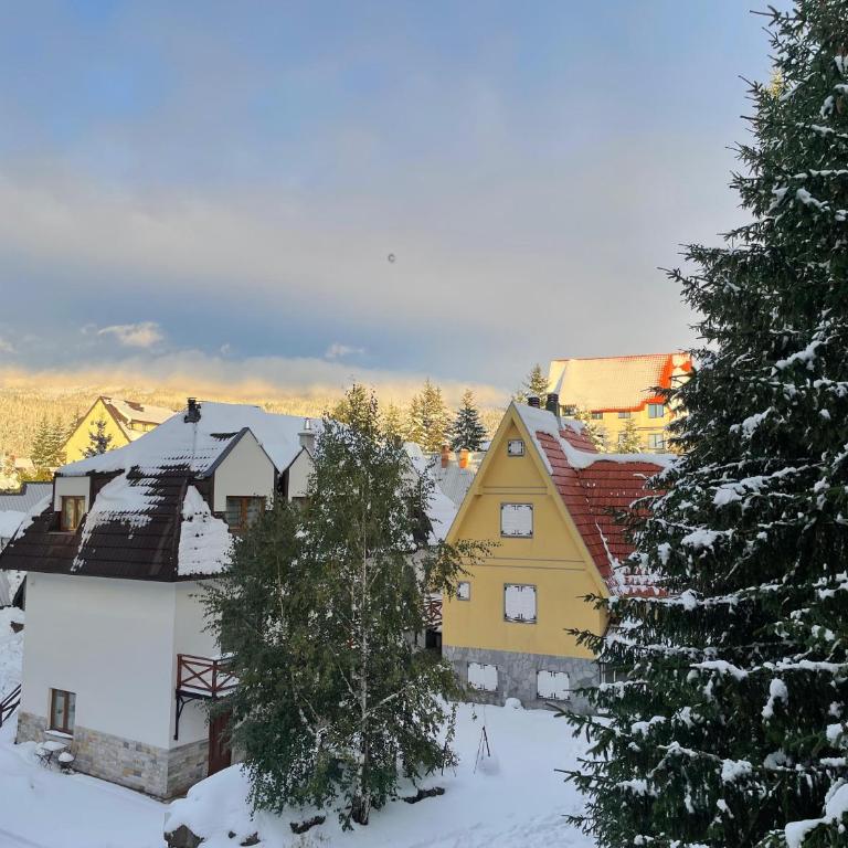 Cozy Lodge Kopaonik - Apartman sa 1 Spavaćom Sobom - 6