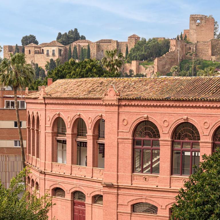Holidays Home Maestranza in Malaga by Solaga - Apartamento Deluxe de 1 dormitorio - 1