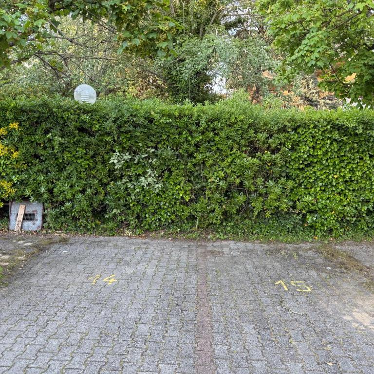 "La Casetta dei Ronchi" 300 mt dal mare - posto auto gratuito - Apartment mit 2 Schlafzimmern - 24