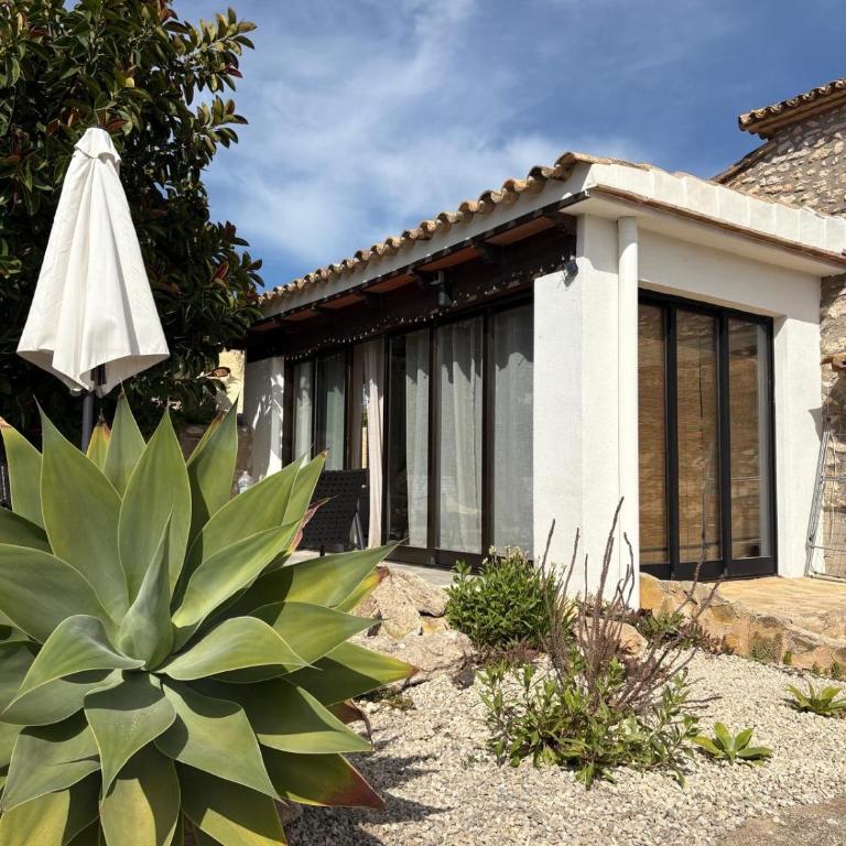 Rustico Appartment 'Olta' in finca, see-and garden side - Casa con 1 dormitorio - 2