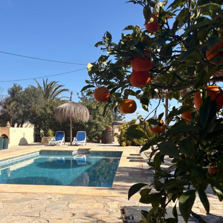 Rustico Appartment 'Olta' in finca, see-and garden side - Casa con 1 dormitorio - 5