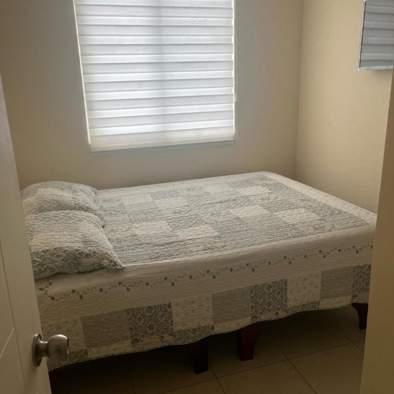 Apartment for rent near the beach - Two-Bedroom Apartment - 15
