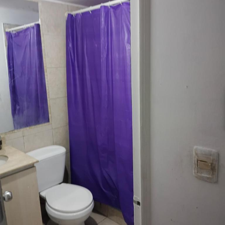 Pieza diaria - Single Room - 7