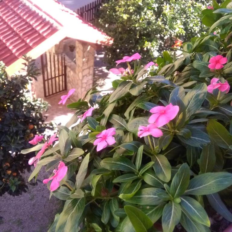 Casa Belvedere - Casa Vacanze - 2