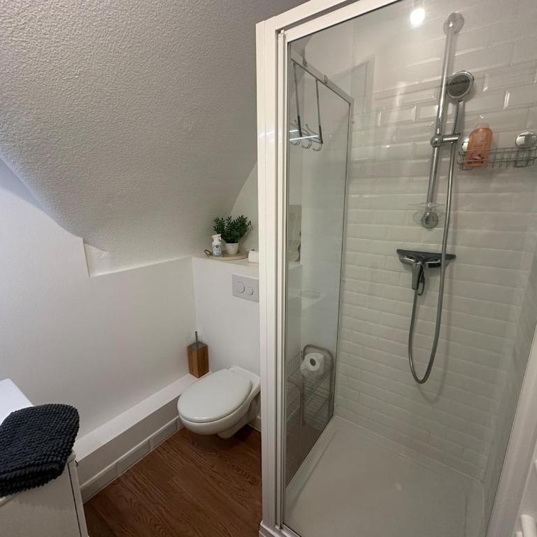 Studio en plein cœur de Vannes - One-Bedroom Apartment - 11