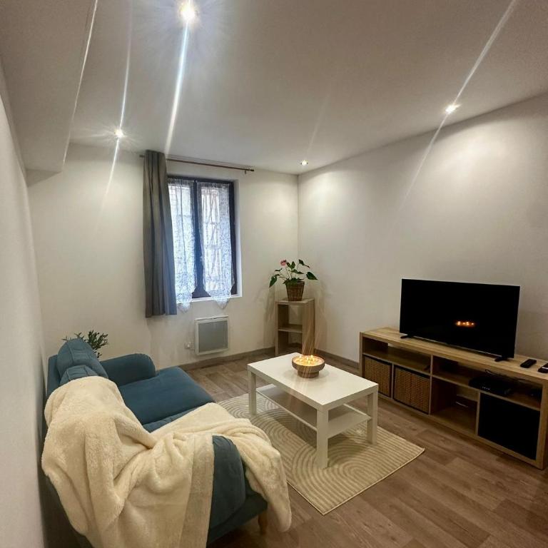 Chaleureux proxi-CHU et clinique St Hilaire - Appartement 1 Chambre - 9