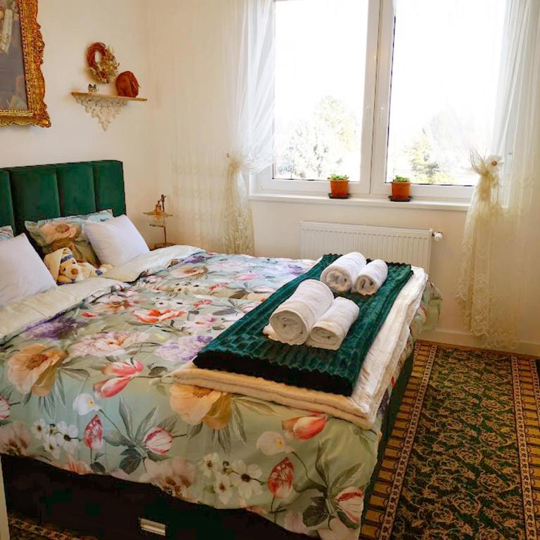 Butterfly Cozy Apartment - One-Bedroom Apartment - 19