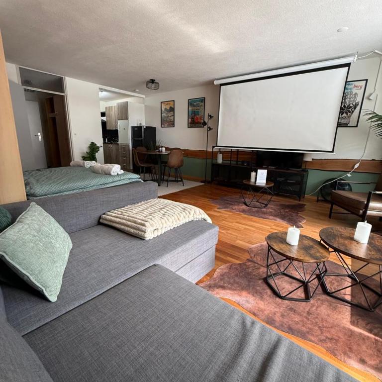 Alpine Hideaway - Cozy Mountainview Studio, Home-Cinema, Free Parking, Ski, Engelberg, Luzern - Apartment mit 1 Schlafzimmer - 3