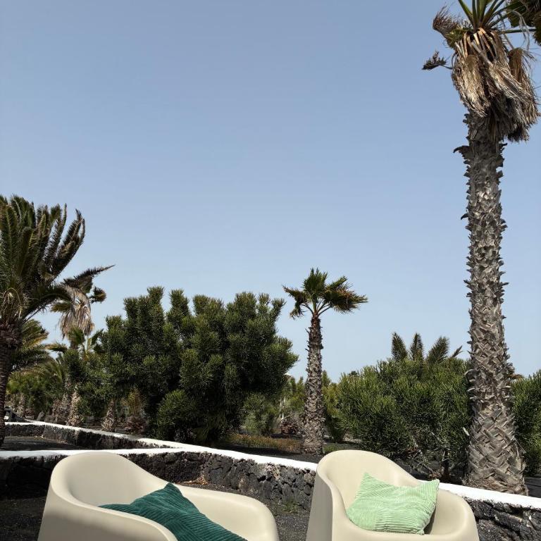 CASA MACA sea view & beach front - Apartamento de 1 dormitorio - 44
