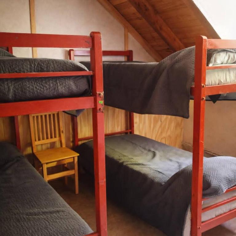 Bosque Hostel - Bed in 4-Bed Mixed Dormitory Room - 7
