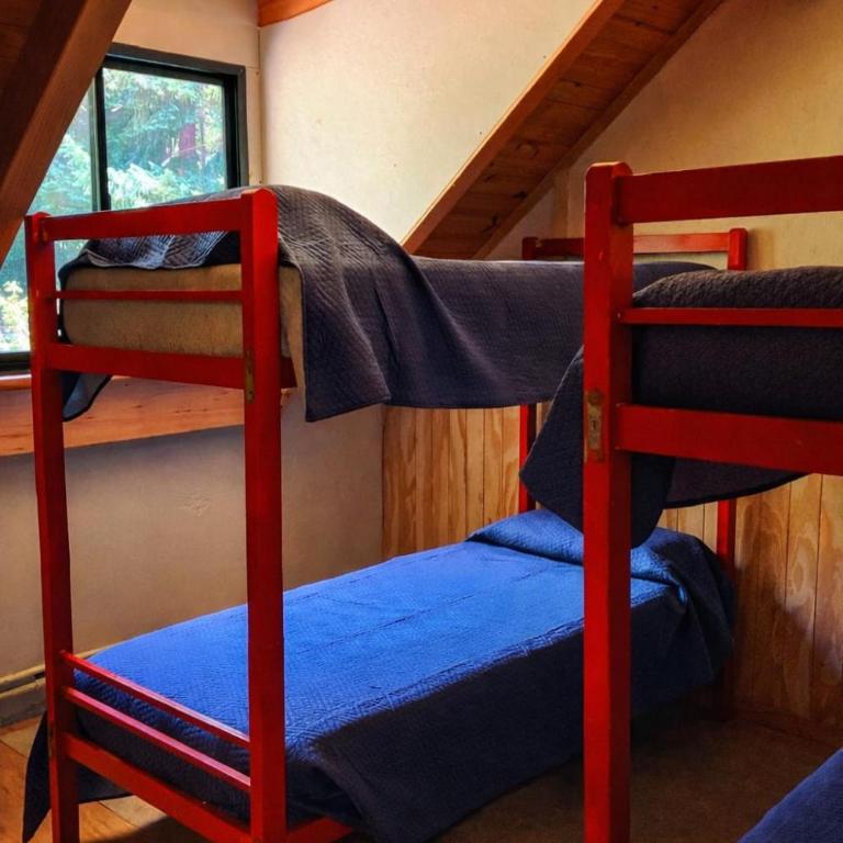 Bosque Hostel - Bed in 4-Bed Mixed Dormitory Room - 8