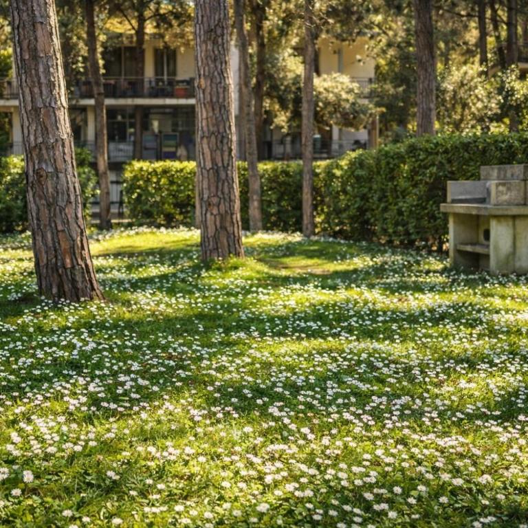 Villa Azzurro Blu - Villa - 8