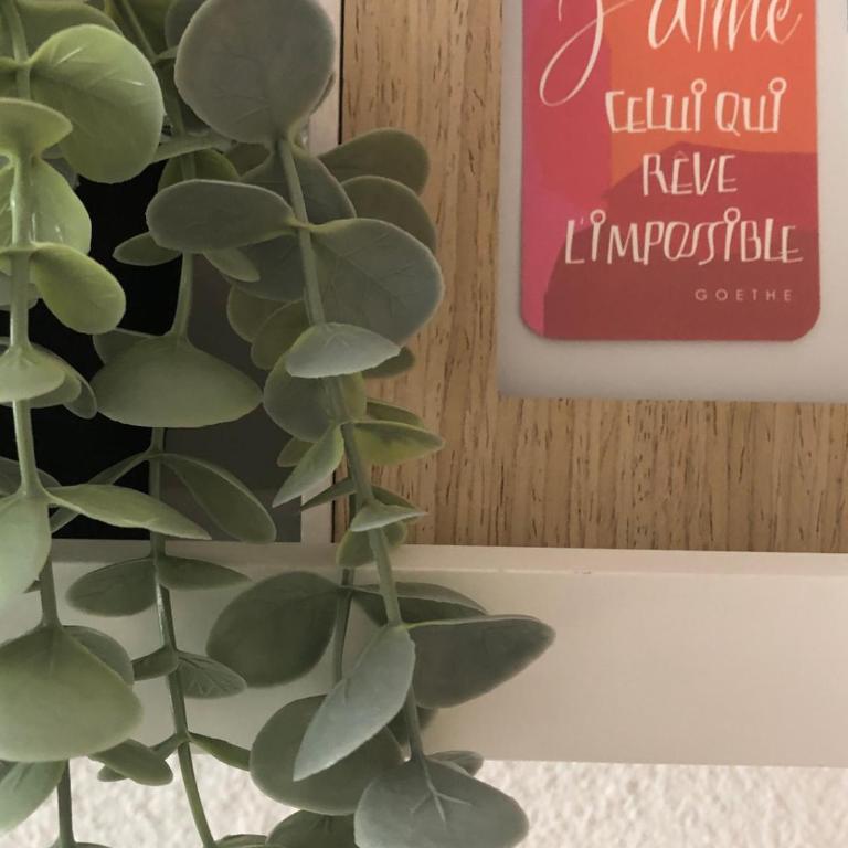 La Royale au Le Cap d'Agde - Apartamento de 2 dormitorios - 15
