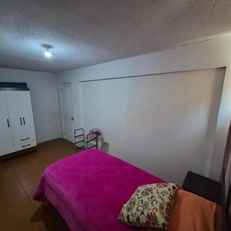 Departamento segundo Nivel - One-Bedroom Apartment - 12
