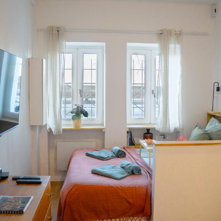 Centre historique de Toulouse - Appartement cosy face à la Garonne - L'écrin de Tounis - Apartment with View - 17