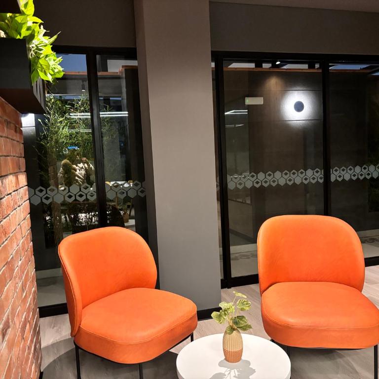 Suite con baño privado - One-Bedroom Apartment - 13