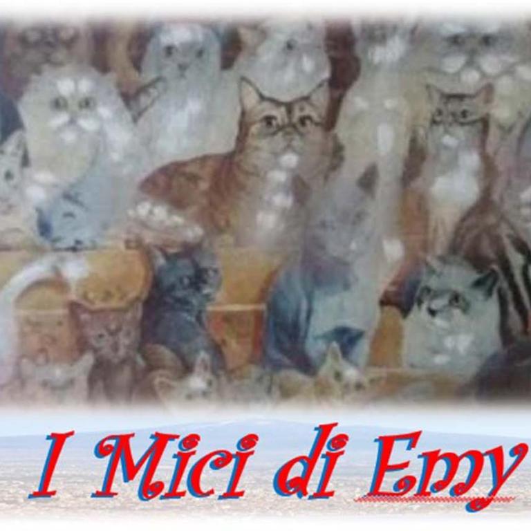 I Mici di Emy - Apartment - 36