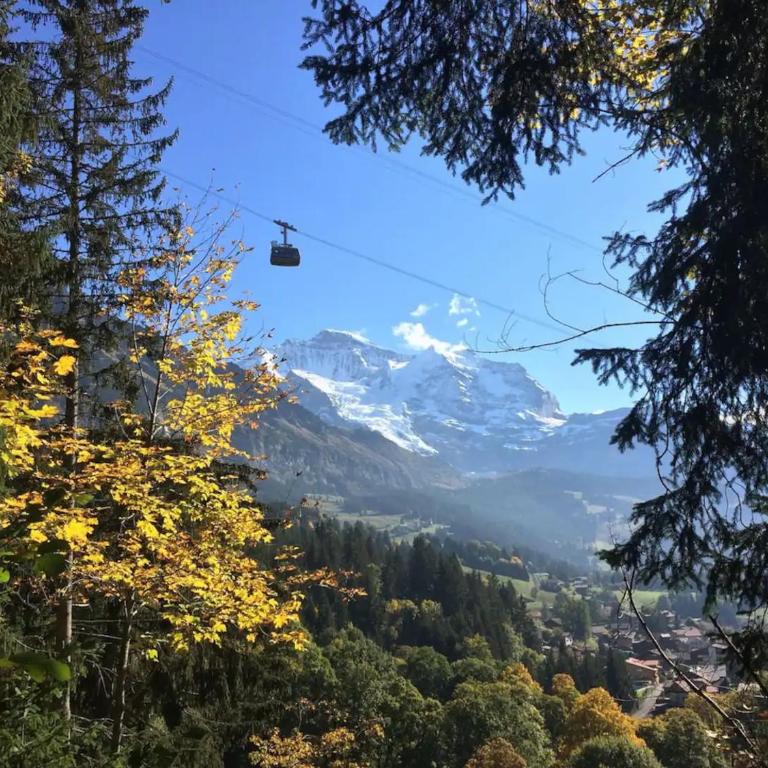 Modern Wengen Studio - Ski-in, Ski-out - by Wengen Rentals - Apartment mit Blick auf die Berge - 32
