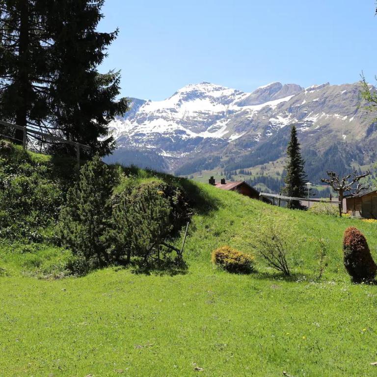 Modern Wengen Studio - Ski-in, Ski-out - by Wengen Rentals - Apartment mit Blick auf die Berge - 37