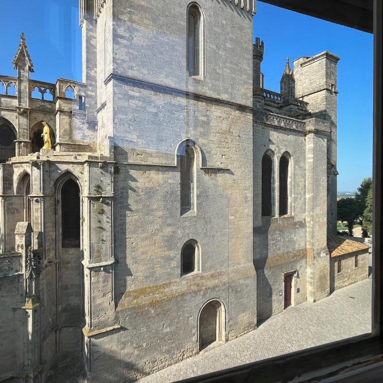 Le Logis du Chanoine, 50 m2 and terrace face to Cathedral - Appartement 1 Chambre - 40