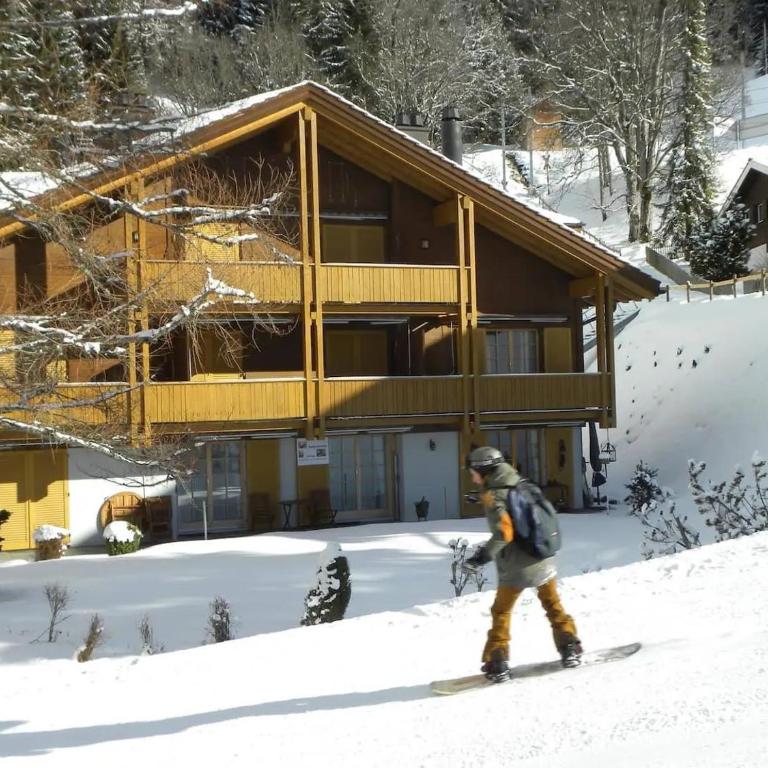 Spacious 1BR Apartment - Ski-in, Ski-out - by Wengen Rentals - Apartment mit 1 Schlafzimmer und Terrasse - 29