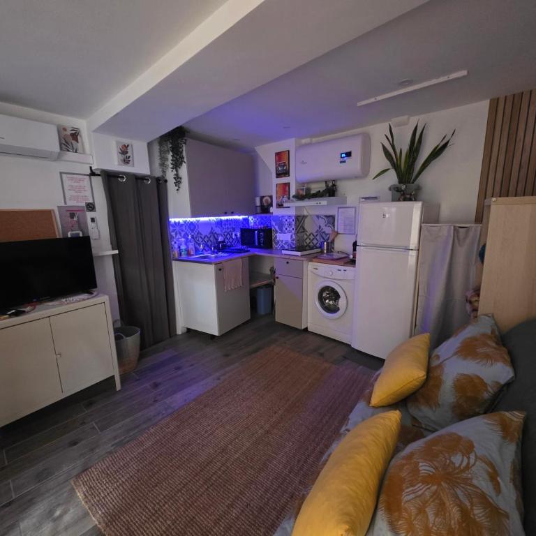 Atypique studio en bas du Château - Appartement 1 Chambre - 4