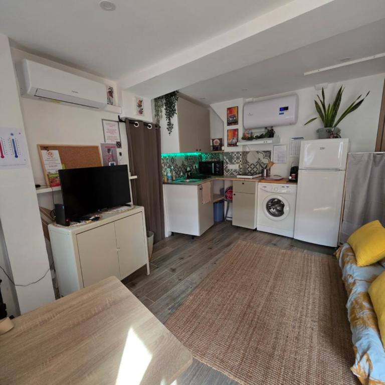 Atypique studio en bas du Château - Appartement 1 Chambre - 3