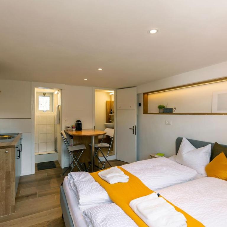 Sunny Bijou Studio - Ski-in, Ski-out - by Wengen Rentals - Studio-Apartment mit Queensize-Bett - 14